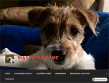 Tablet Screenshot of mascotashome.com